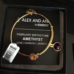 Alex and ani February birthstone bracelet